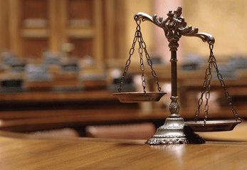 witness Expert Witness